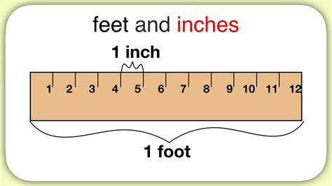 how many inches are in aaa feet